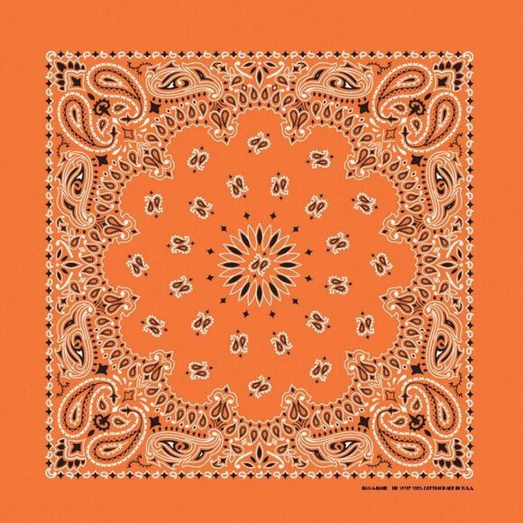 USA Made 100% Cotton Paisley Bandanas 22"X22" Orange Adults, Kids, Dogs, Crafts - Picture 1 of 1